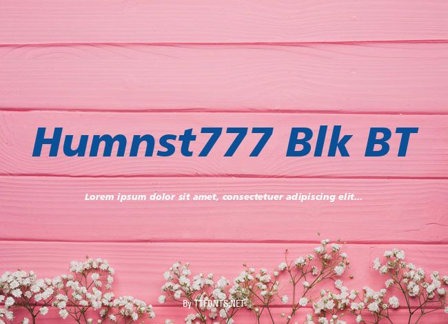 Humnst777 Blk BT example